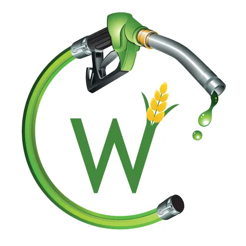CW Petroleum Corp (OTCQB: CWPE) Reports Revenues for Q4-2025, Shareholder Update