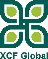 XCF Global, Southern Energy Renewables and DevvStream Agree to Binding Term Sheet for Three-Party Merger